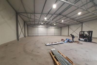 Hala noua in zona Gara Catelu, Drumul Intre Tarlale - 4