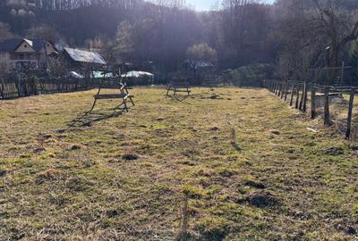 Spațiu comercial, în Bradu - 5