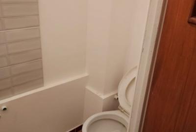 Apartament cu 3 camere decomandat, mobilat în Moșilor - 7