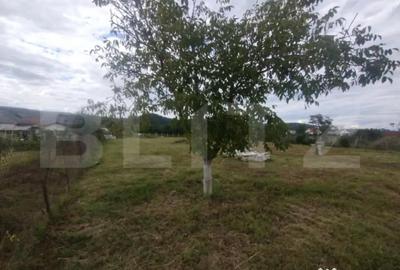 Teren de 1600 mp, în Central - 3