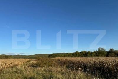 Teren de 1400 mp, în Brănișca - 1