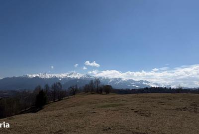 Spațiu comercial, în Peștera - 2