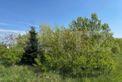 Teren de 19000 mp, în Botoș - 2