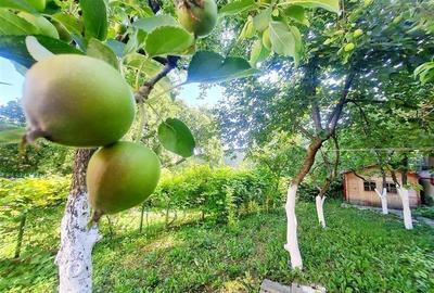 In Vintage style, cu acces auto in curte proprie,  zona Star  - Centrul Istoric, - 36