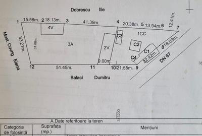 Casa, teren intravilan 3025 mp, sat Ciuperceni, pret excelent - 1