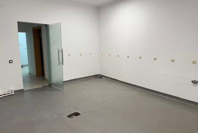 Cismigiu, oferta inchiriere ap. 4 cam. in vila - 16