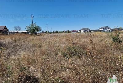 Teren 1491 mp in zona rezidentiala din Ciorogarla Teren 1491 mp in zona rezidentiala din Ciorogarla - 4