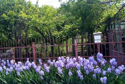 Casa de vanzare in Zorleni - 3