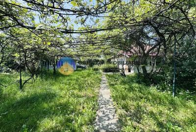 Casă cu Teren 2050 Mp în Bodești - 12