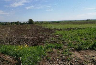 Teren de 6200 mp, în Săsenii Noi - 1