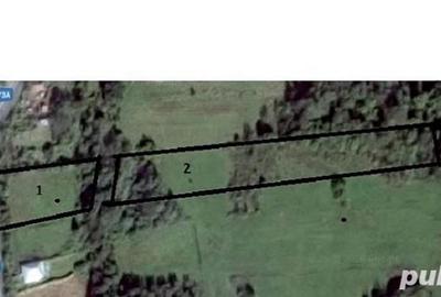 Teren de 9309.7 mp, în Ciuperceni - 2