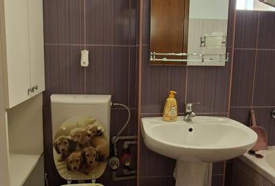 Apartament cu 3 camere decomandat, mobilat în Drumul Taberei - 9