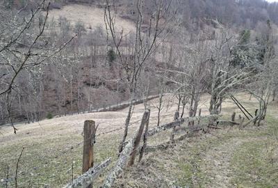 Casă cu 3 camere în Vale - 2