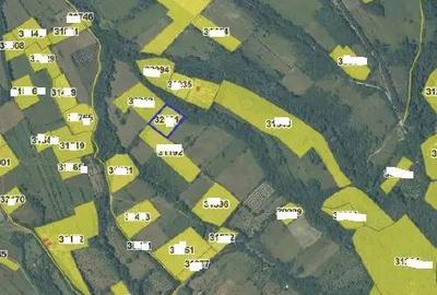 Teren de 4925 mp, în Prigor - 1