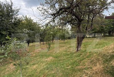 Casa etaj, 140 mp utili, 4800 mp teren, Adancata - 2