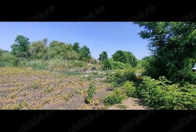 Teren de 2800 mp, în Lovrin - 6