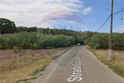 Teren intravilan 4285 mp Corbeanca Laguna Albastra deschidere la lac - 1