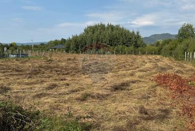 De vanzare Teren intravilan in Busag, ideal pentru casa ta! De vanzare Teren intravilan in Busag, ideal pentru casa ta! - 5