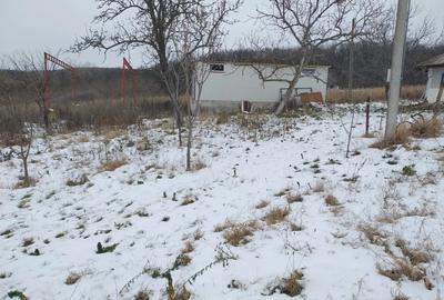 Hala pe Structura Metalica+ Casabatraneasca + 4800 m2 - 8