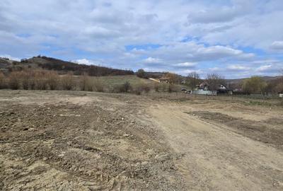 Spațiu comercial, în Sânișor - 4