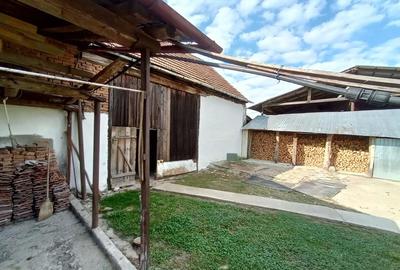 Casă cu Teren 1060 Mp în Beriu - 3