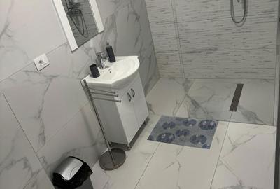 Casă cu 9 camere cu Teren 500 Mp în Sânmartin - 16