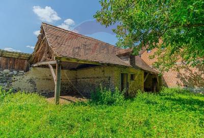 Casa saseasca cu gradina de VANZARE/ Bogata Olteana/ Hoghiz - 16