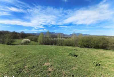 Teren de 4000 mp, în Central - 2