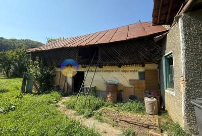 Casa batraneasca / Piatra Neamt / Pentru iubitorii de natura - 15