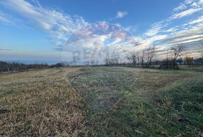 Teren 2636 mp in Padureni /Jari?tea - 5