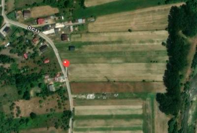 Teren de 7500 mp, în Mihăești - 3