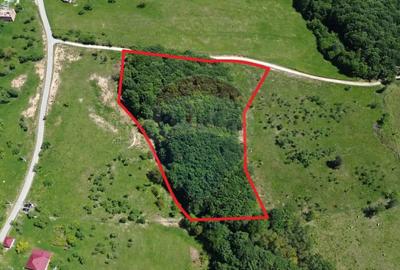 Teren de 30670 mp, în Codru Butesii - 4