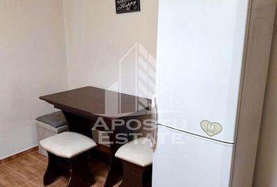 Apartament cu o camera, mobilat, zona Dambovita - 3