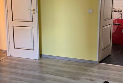 Apartament cu 2 camere circular în Nerva Traian - 10