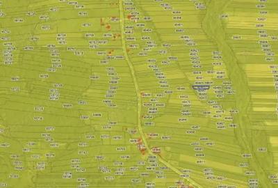 Teren extravilan- loc Bustuchin, Jud Gorj - 1