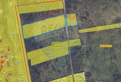 Teren de 10000 mp, în Rădășeni - 12