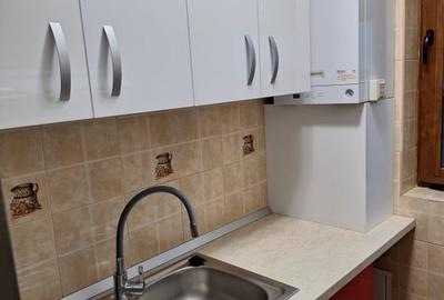 Garsoniera de inchiriat 1 camera, 35 mp Baba Novac - 7