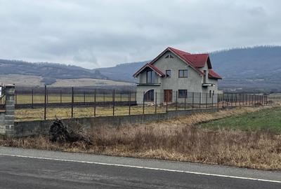 Casă individuală cu 5 camere cu Teren 2900 Mp în Sud - 1