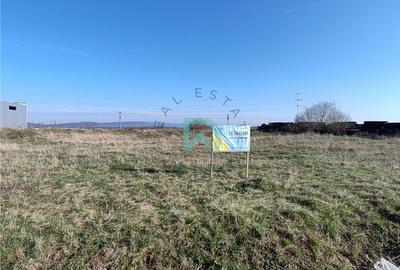 Teren Construcții intravilan de 7700 mp, în Prejmer - 8