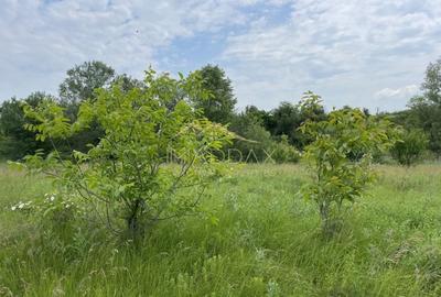 Teren intravilan***1439 mp***Cretesti-Vidra-Ilfov - 2