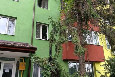 Apartament cu 2 camere semidecomandat în Cuza Vodă - 3