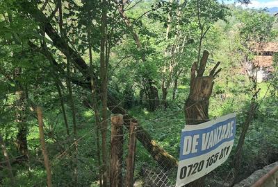 Teren de 917 mp, în Cornu - 9