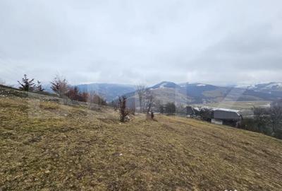 Casă cu 3 camere cu Teren 7297 Mp în Dăroaia - 2