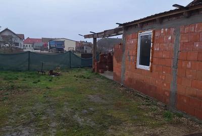 Casa de vanzare in Tormac Jud. Timis - 3