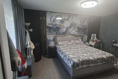 Apartament cu 3 camere decomandat în Lacu - 12