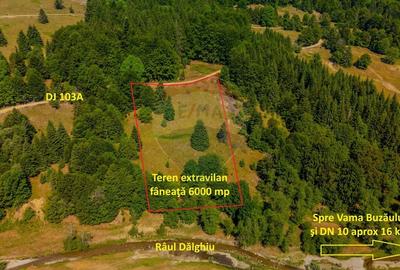Teren 6000 mp, Vama Buzaului - vedere catre Ciucas - 2
