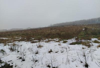 Teren 1000 mp, Carcea, front 11,57m - 2