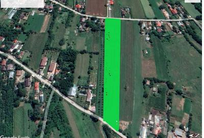 Spațiu comercial, în Șanțu-Florești - 5