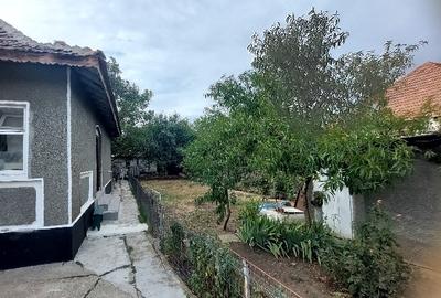 Dalga Sat, Com. Dor Marunt, jud. Calarasi Dalga Sat, Com. Dor Marunt, jud. Calarasi - 6