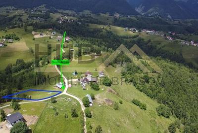 Oportunitate Investitie | Teren Pestera | 2.090mp | Utilitati Gaz/Curent | PUZ - 5